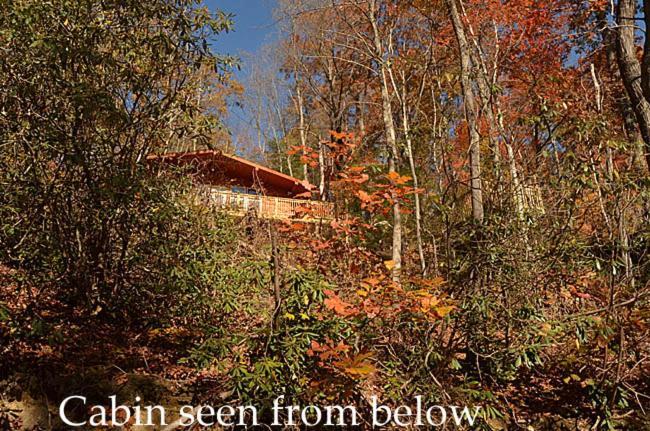 Willa #820 Honeymoon Hideaway Gatlinburg Zewnętrze zdjęcie